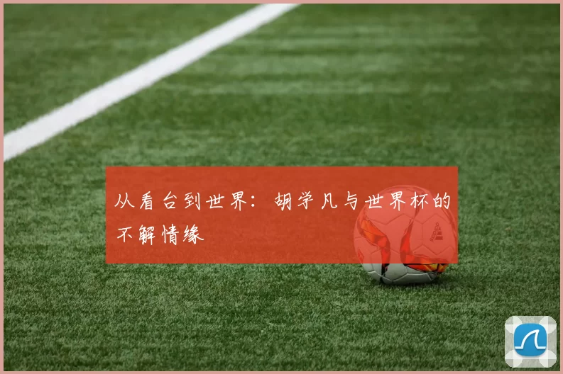 从看台到世界：胡学凡与世界杯的不解情缘