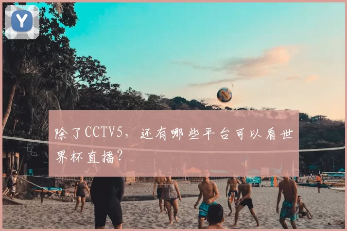 除了CCTV5，还有哪些平台可以看世界杯直播？