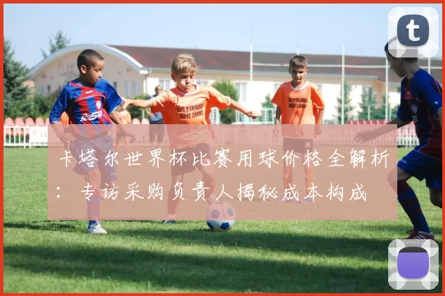 卡塔尔世界杯比赛用球价格全解析：专访采购负责人揭秘成本构成