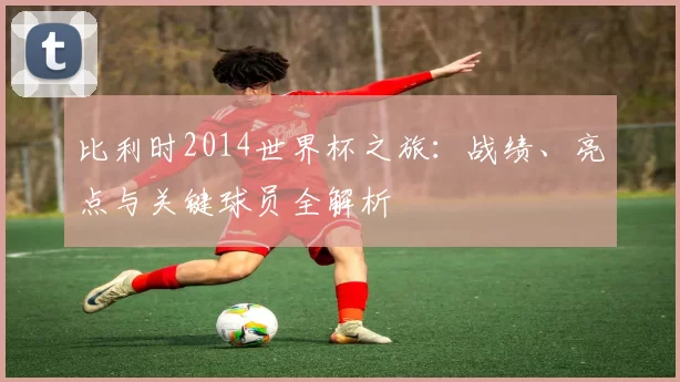 比利时2014世界杯之旅:战绩、亮点与关键球员全解析