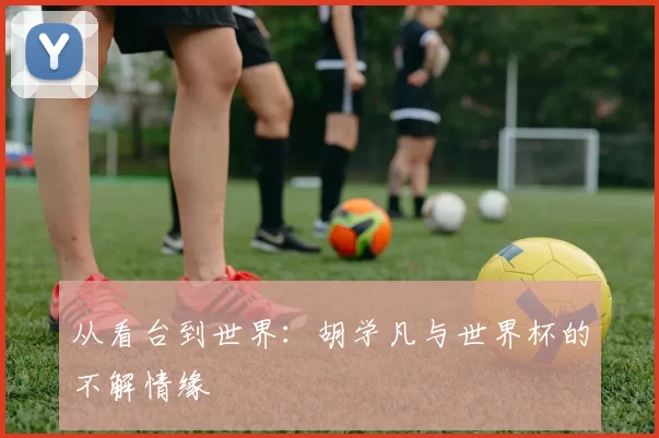 从看台到世界:胡学凡与世界杯的不解情缘