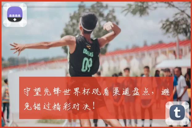 守望先锋世界杯观看渠道盘点，避免错过精彩对决！