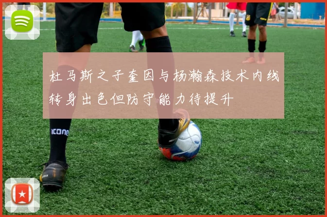 杜马斯之子奎因与杨瀚森技术内线转身出色但防守能力待提升