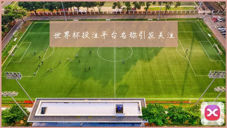 世界杯投注平台名称引发关注