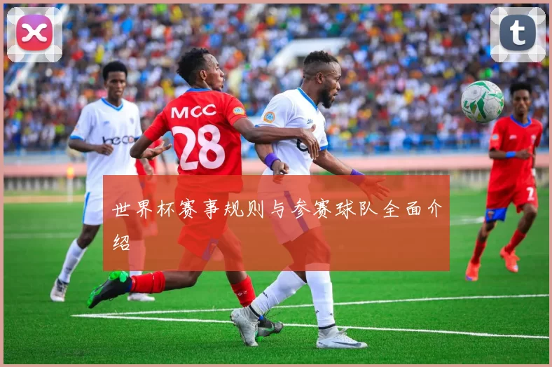 世界杯赛事规则与参赛球队全面介绍