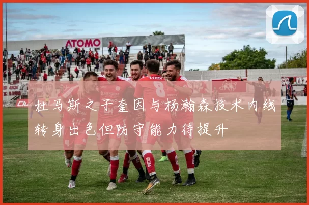 杜马斯之子奎因与杨瀚森技术内线转身出色但防守能力待提升