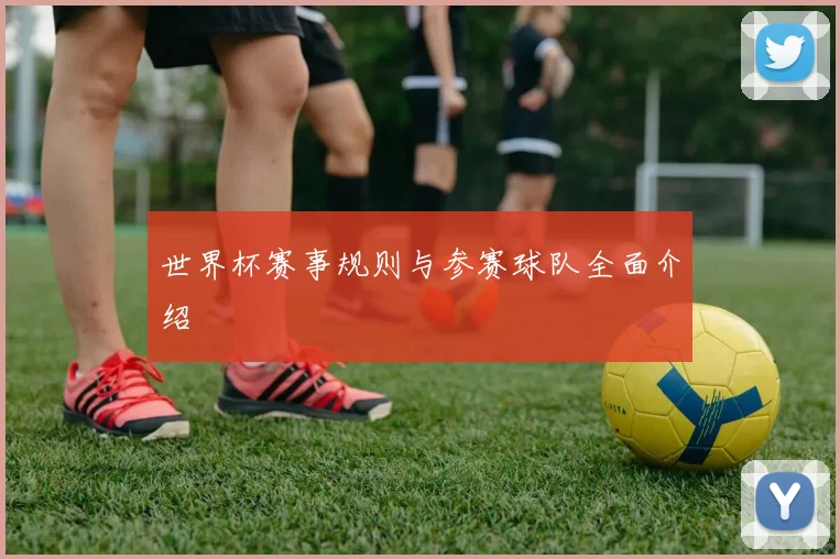 世界杯赛事规则与参赛球队全面介绍